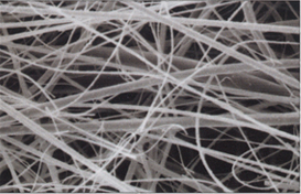 Filtro Virus Vista al Microscopio