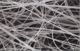 Filtro Virus Vista al Microscopio